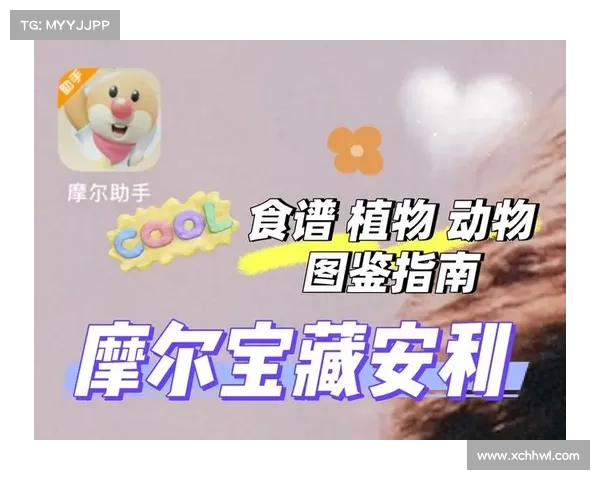 快速收集摩尔庄园毛毛豆的实用技巧与高效方法分享 快速收集摩尔庄园毛毛豆的实用技巧与高效方法分享