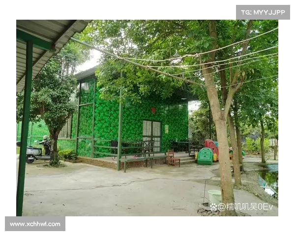 永歌森林绿意之旅探秘大自然的静谧与奇妙生态体验 永歌森林绿意之旅探秘大自然的静谧与奇妙生态体验