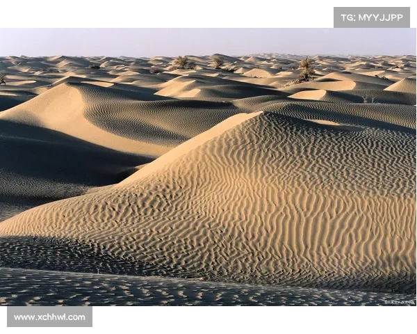 在浩瀚荒漠中寻得内心的宁静与平和之道 在浩瀚荒漠中寻得内心的宁静与平和之道