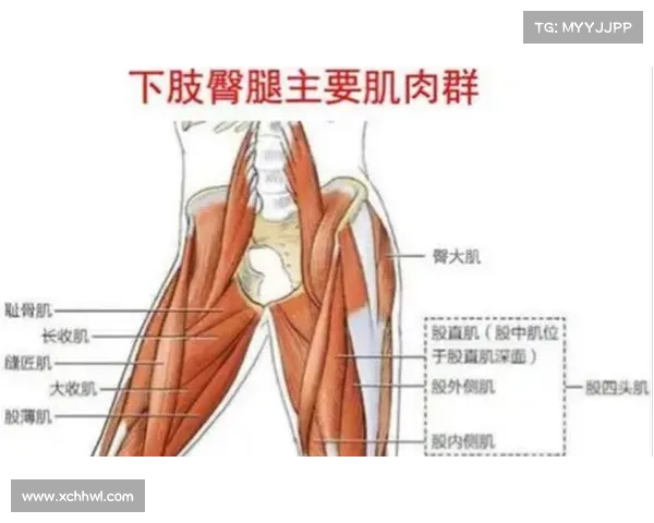 通过蛙跳训练提升身体灵活性与反应速度的科学方法与技巧 通过蛙跳训练提升身体灵活性与反应速度的科学方法与技巧